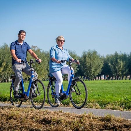 Vakantiepark Molenwaard Ottoland Bagian luar foto